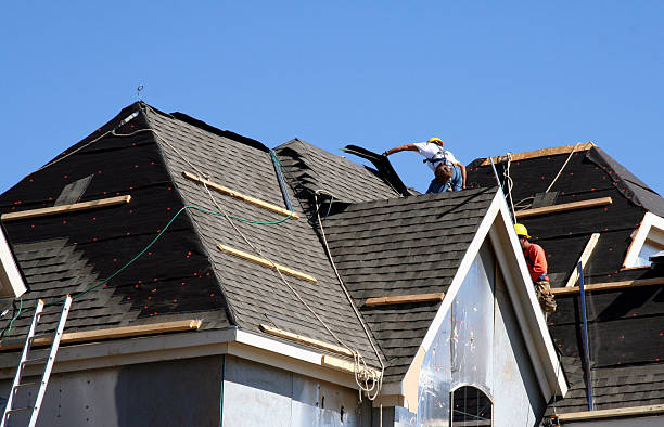 Best Local Roofing Companies  in Maysville, KY